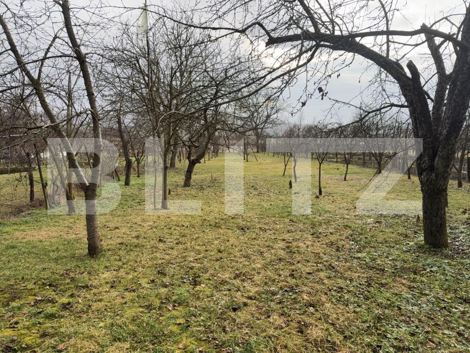 Casa de vânzare 4 camere Ocna Mures - 188958CV | BLITZ Alba Iulia | Poza11