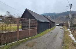 Casă spațioasă cu priveliște spre munte, în Gura Roșiei – Roșia Montană