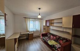 Casă spațioasă cu priveliște spre munte, în Gura Roșiei – Roșia Montană