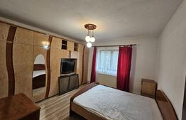 Casă spațioasă cu priveliște spre munte, în Gura Roșiei – Roșia Montană