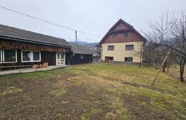 Casă spațioasă cu priveliște spre munte, în Gura Roșiei – Roșia Montană