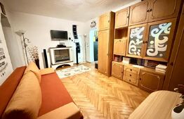 Apartament 2 camere, 58 mp, mobilat complet, Sebes