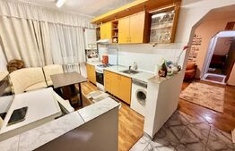Apartament 2 camere, 58 mp, mobilat complet, Sebes