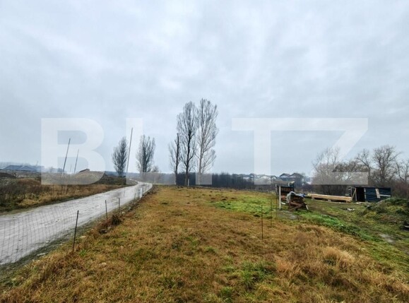 Teren de vânzare Micești - 189175TV | BLITZ Alba Iulia | Poza2