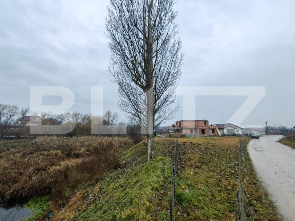 Teren de vânzare Micești - 189175TV | BLITZ Alba Iulia | Poza3