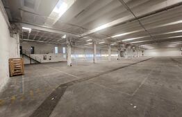 Hală industrială, 3000 mp, zona Industriala