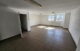 Hală industrială, 3000 mp, zona Industriala