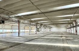 Hală industrială, 3000 mp, zona Industriala