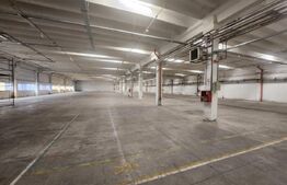 Hală industrială, 3000 mp, zona Industriala