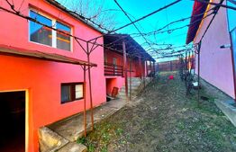 Casă de vânzare – Sintămărie, Cetatea de Baltă , 85mp utili , 741mp teren.