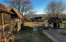 Casă de vânzare – Sintămărie, Cetatea de Baltă , 85mp utili , 741mp teren.