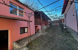 Casă de vânzare – Sintămărie, Cetatea de Baltă , 85mp utili , 741mp teren.