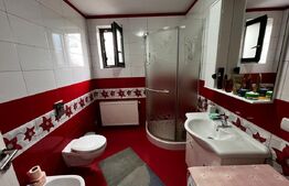 Casă de vânzare in Teiuș, zonă centrală, 150 mp utili, 470 mp teren total