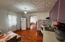 Casă de vânzare in Teiuș, zonă centrală, 150 mp utili, 470 mp teren total