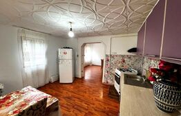 Casă de vânzare in Teiuș, zonă centrală, 150 mp utili, 470 mp teren total
