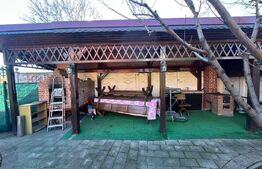 Casa de vanzare, 350 mp utili, 1000 mp teren - Cetate