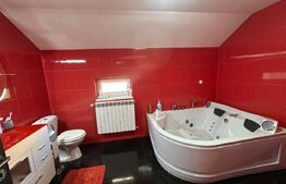 Casa de vanzare, 350 mp utili, 1000 mp teren - Cetate