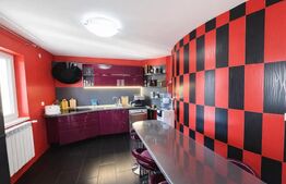 Casa de vanzare, 350 mp utili, 1000 mp teren - Cetate