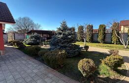 Casa de vanzare, 350 mp utili, 1000 mp teren - Cetate