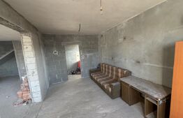 Casă P+1 semifinisată, 250 mp, garaj, teren generos, zona Partos