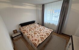 Apartament 2 camere decomandat, mobilat, zona Industriala