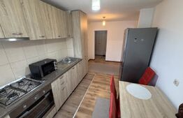 Apartament 2 camere decomandat, mobilat, zona Industriala