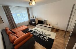 Apartament 2 camere decomandat, mobilat, zona Industriala