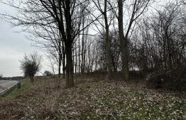 Teren extravilan 6200mp zona Rahau