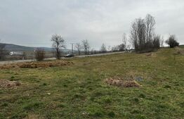 Teren extravilan 6200mp zona Rahau