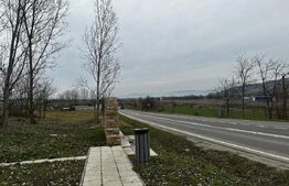 Teren extravilan 6200mp zona Rahau