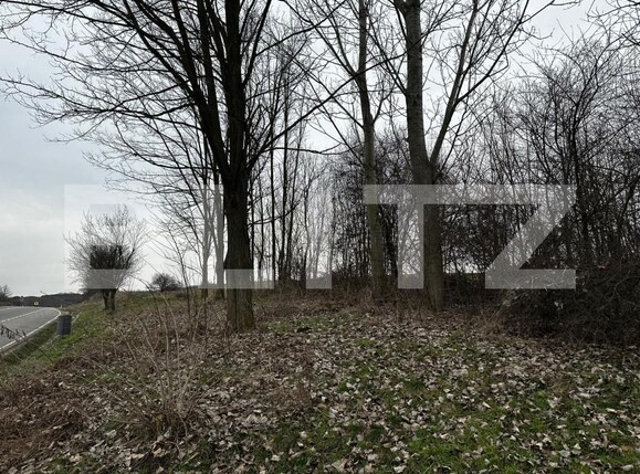 Teren de vânzare Rahau - 189486TV | BLITZ Alba Iulia | Poza3