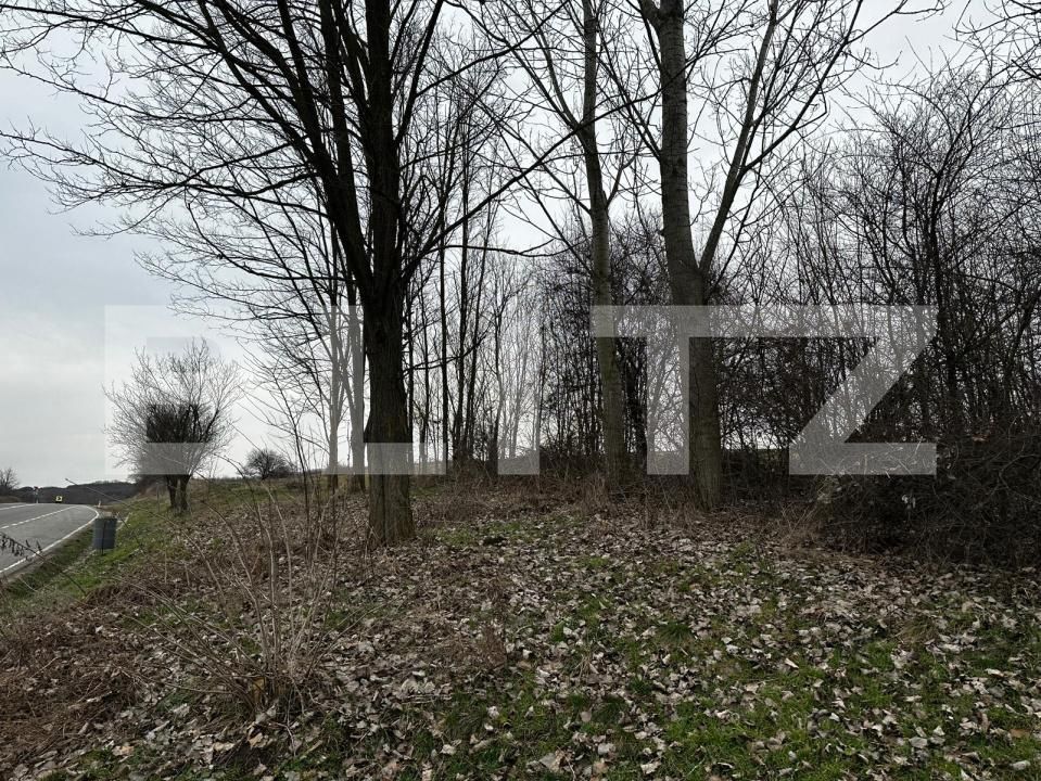 Teren de vânzare Rahau - 189486TV | BLITZ Alba Iulia | Poza3