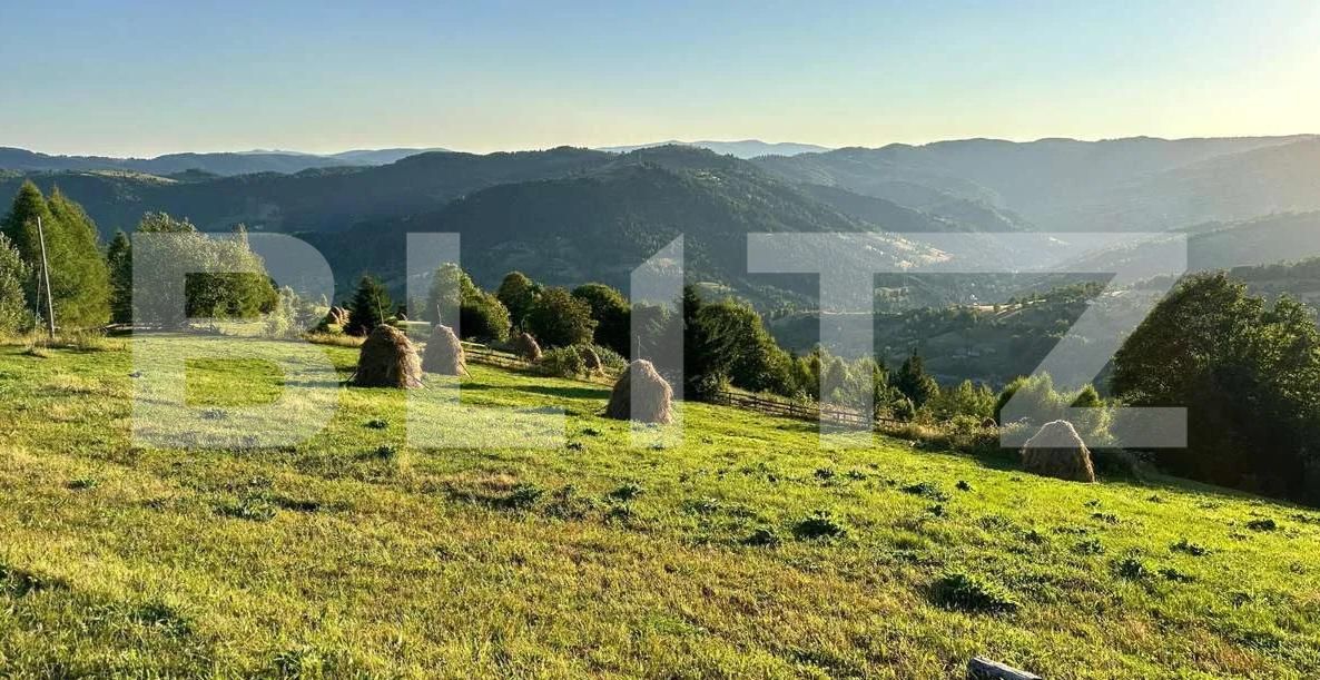 Teren de vânzare Horea - 189501TV | BLITZ Alba Iulia | Poza2