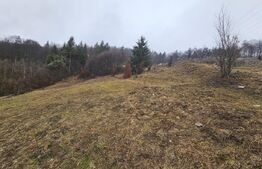 Teren 7.513 mp, cu priveliște panoramică, Dăroaia, comuna Roșia Montană
