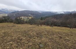 Teren 7.513 mp, cu priveliște panoramică, Dăroaia, comuna Roșia Montană