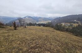 Teren 7.513 mp, cu priveliște panoramică, Dăroaia, comuna Roșia Montană