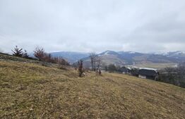 Teren 7.513 mp, cu priveliște panoramică, Dăroaia, comuna Roșia Montană