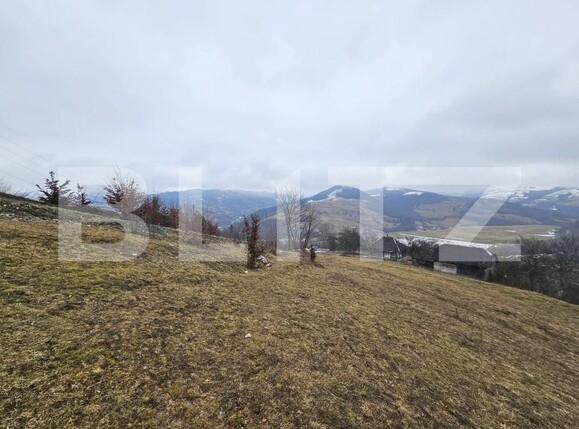 Teren de vânzare Daroaia - 189551TV | BLITZ Alba Iulia | Poza2