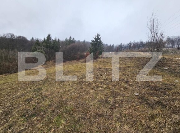 Teren de vânzare Daroaia - 189551TV | BLITZ Alba Iulia | Poza6