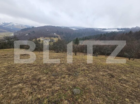 Teren de vânzare Daroaia - 189551TV | BLITZ Alba Iulia | Poza4