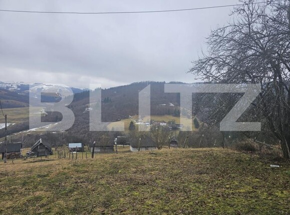 Teren de vânzare Daroaia - 189551TV | BLITZ Alba Iulia | Poza1