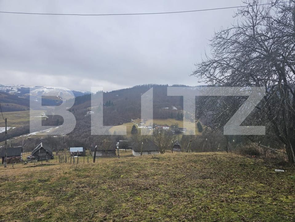 Teren de vânzare Daroaia - 189551TV | BLITZ Alba Iulia | Poza2