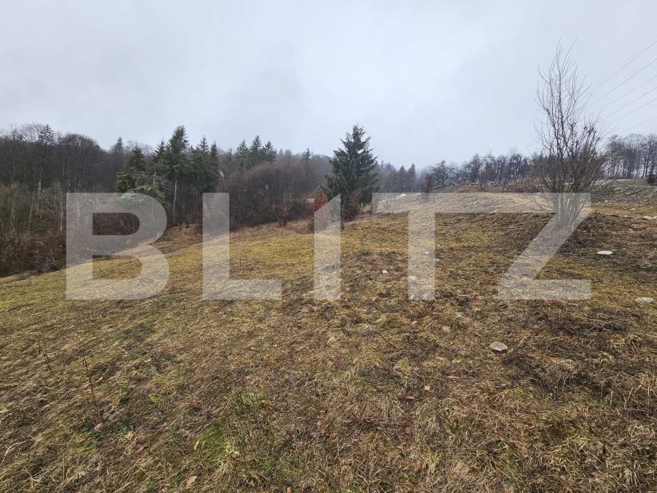 Teren de vânzare Daroaia - 189551TV | BLITZ Alba Iulia | Poza6