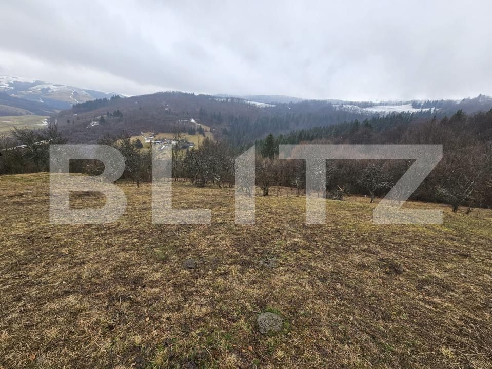 Teren de vânzare Daroaia - 189551TV | BLITZ Alba Iulia | Poza3