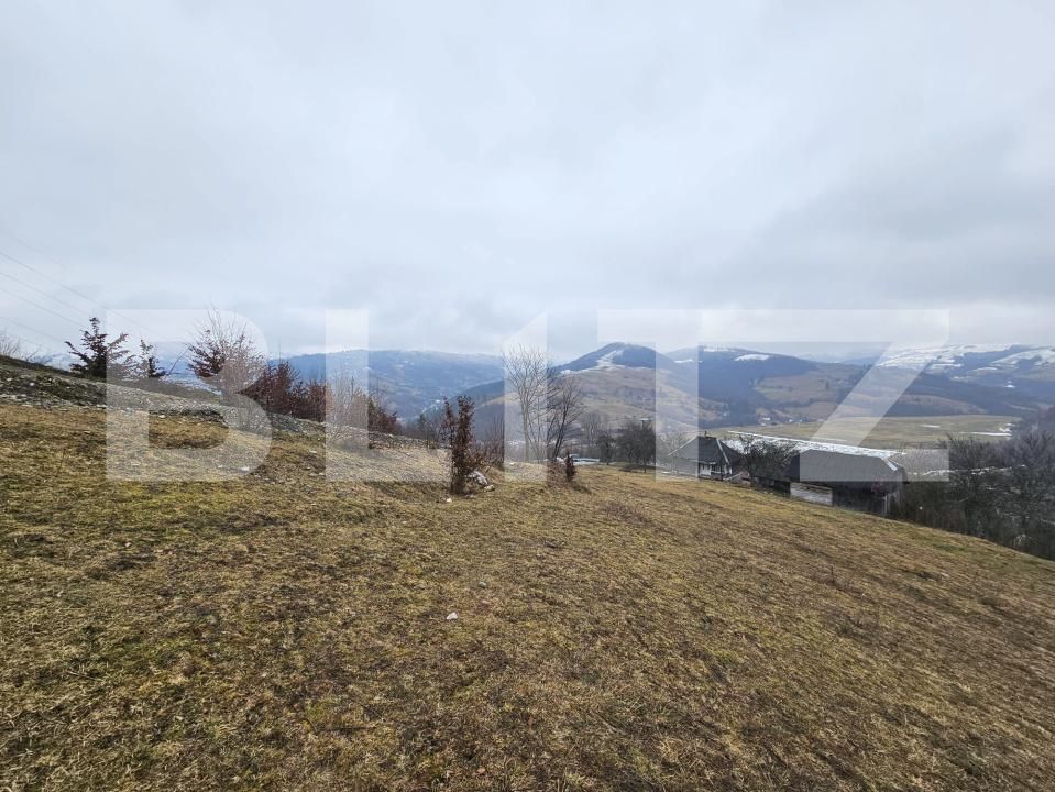 Teren de vânzare Daroaia - 189551TV | BLITZ Alba Iulia | Poza5