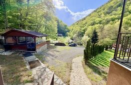 Cabana 5 camere, 140 mp utili, 3000 mp teren,balta de peste