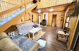 Cabana 5 camere, 140 mp utili, 3000 mp teren,balta de peste