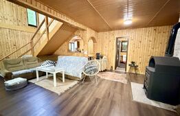 Cabana 5 camere, 140 mp utili, 3000 mp teren,balta de peste