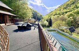 Cabana 5 camere, 140 mp utili, 3000 mp teren,balta de peste