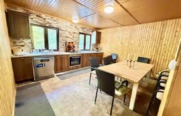 Cabana 5 camere, 140 mp utili, 3000 mp teren,balta de peste